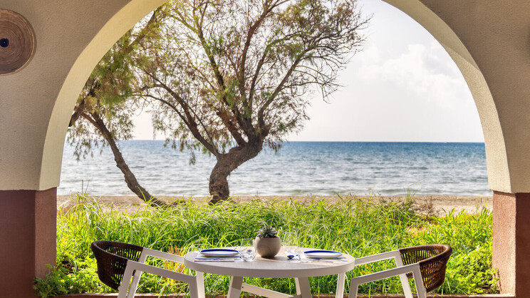 Domes Aulus Zante, Autograph Collection